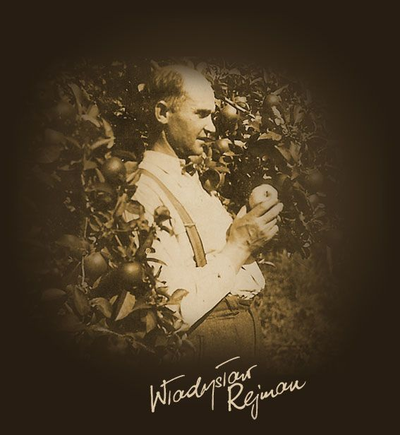 właściciel szkółki drzew owocowych podczas pracy w sadzie