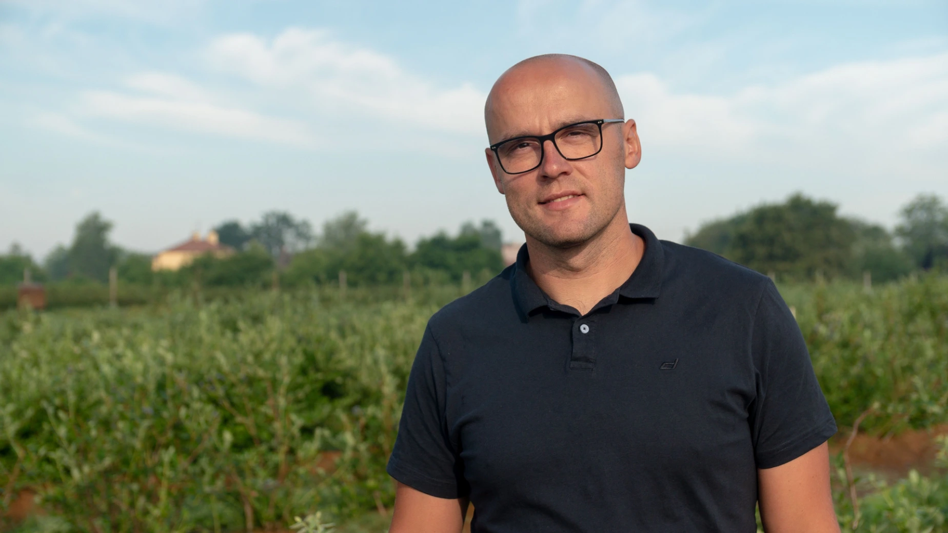 właściciel szkółki borówki wysokiej podczas pracy na plantacji