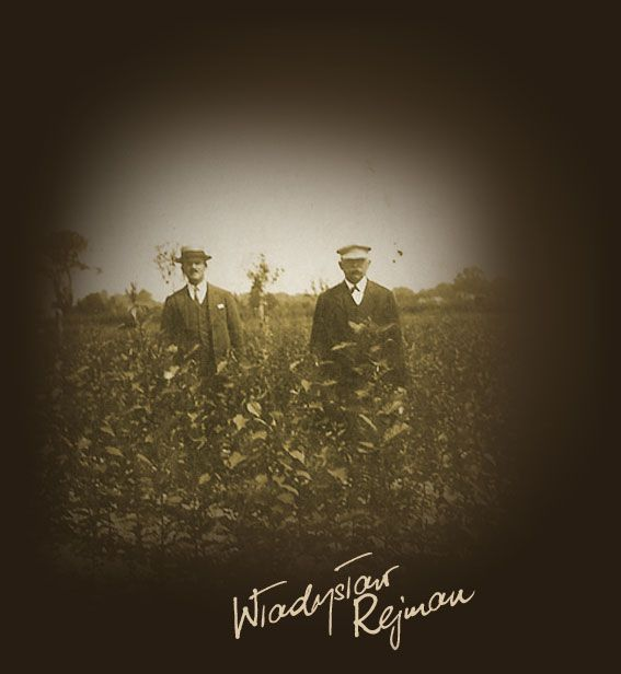 uprawa drzew owocowych w szkółce sprzed lat